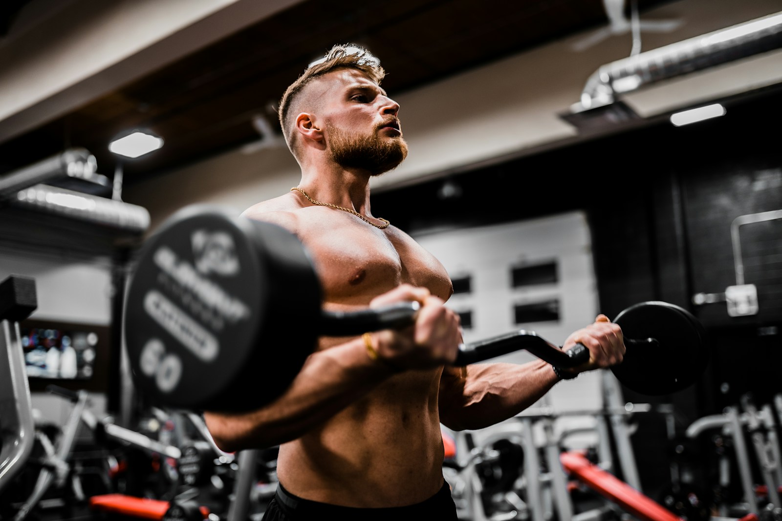 Bodybuilding 100 training